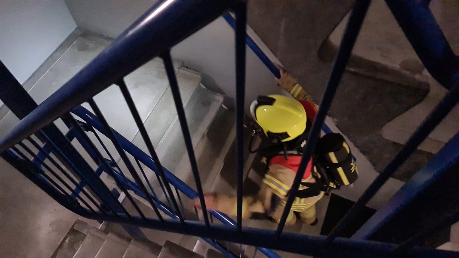 Brandweermannen beklimmen flatgebouw