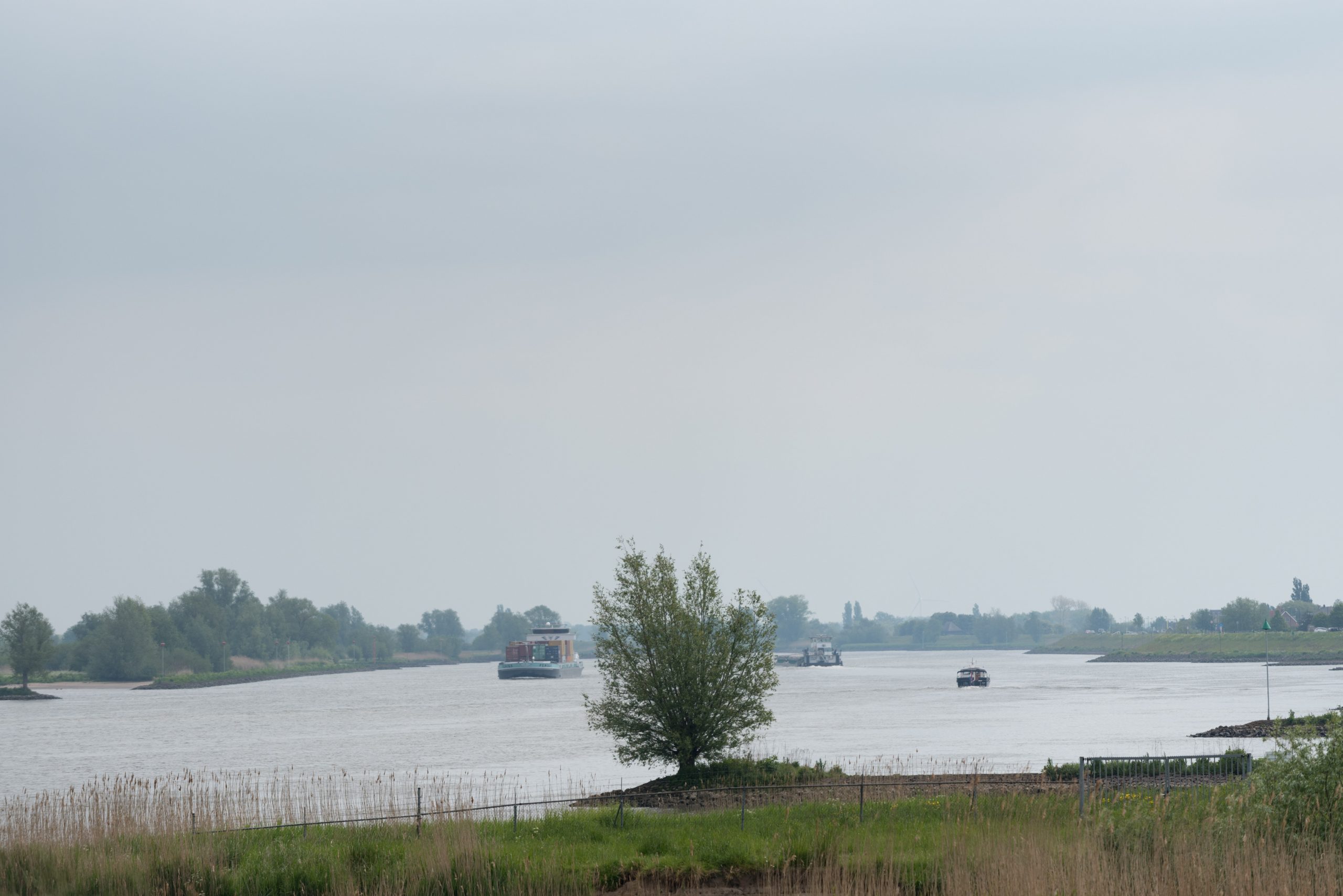 molenlanden natuur