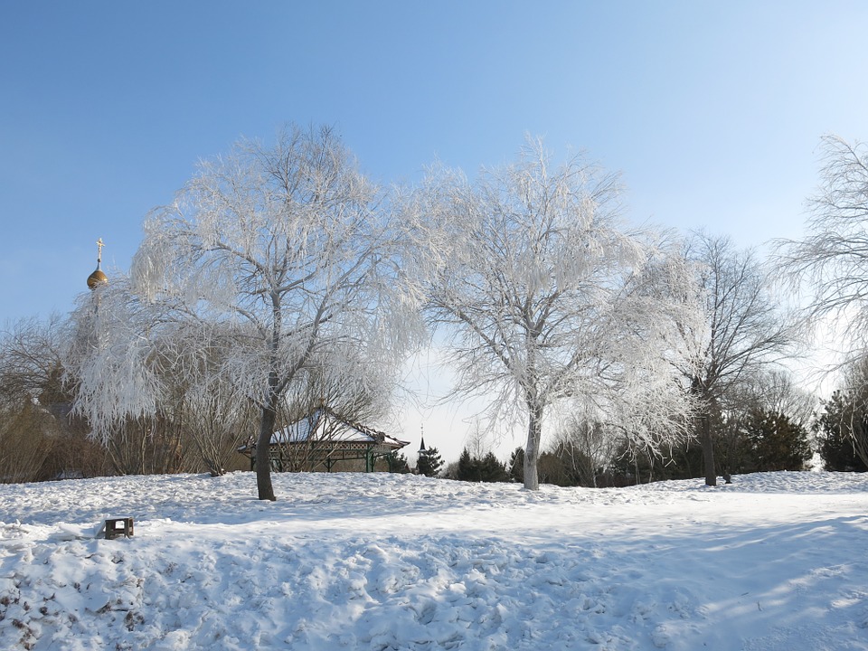 Winterlandschap met besneeuwde ondergrond en bomen