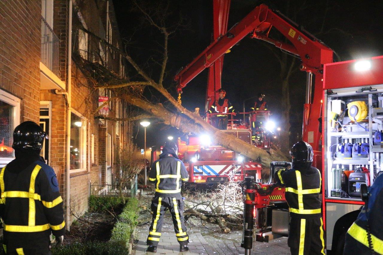 Brandweer verwijdert omgevallen boom van gebouw