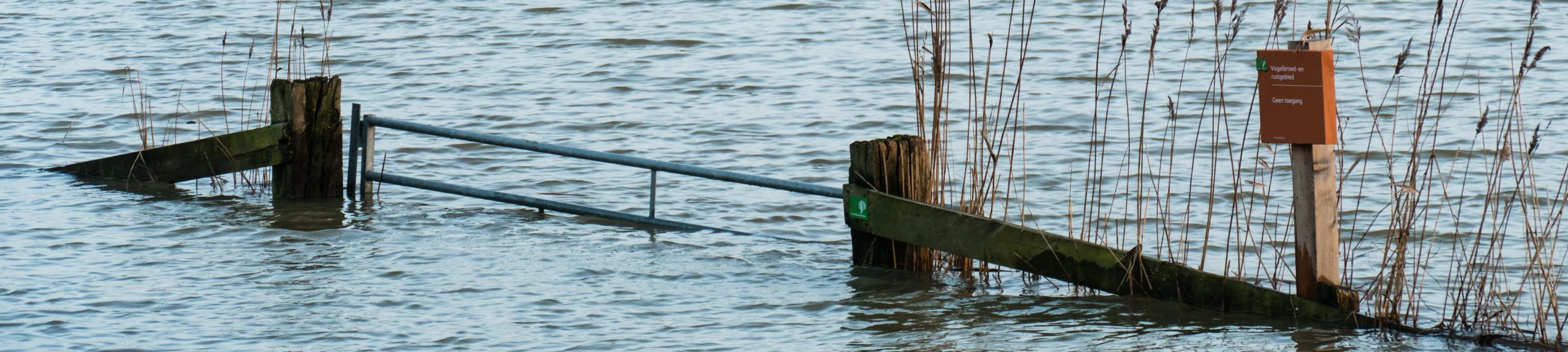 Hardinxveld,,Netherlands,-,2018-01-14:,Gate,With,Reeds,And,Sign,Saying